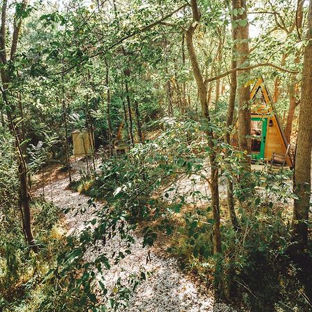 דירות Rockbridge Blue Brambler Glamping A-Frame מראה חיצוני תמונה