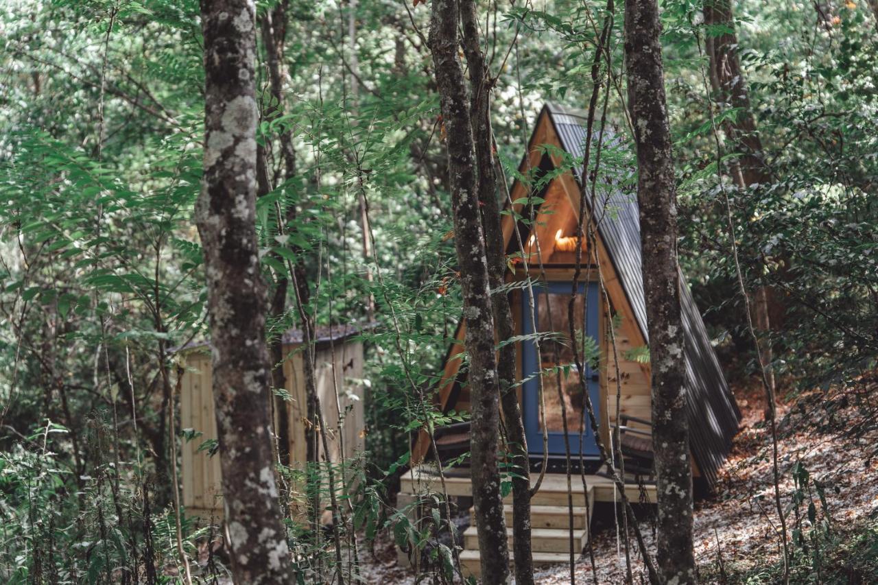 דירות Rockbridge Blue Brambler Glamping A-Frame מראה חיצוני תמונה