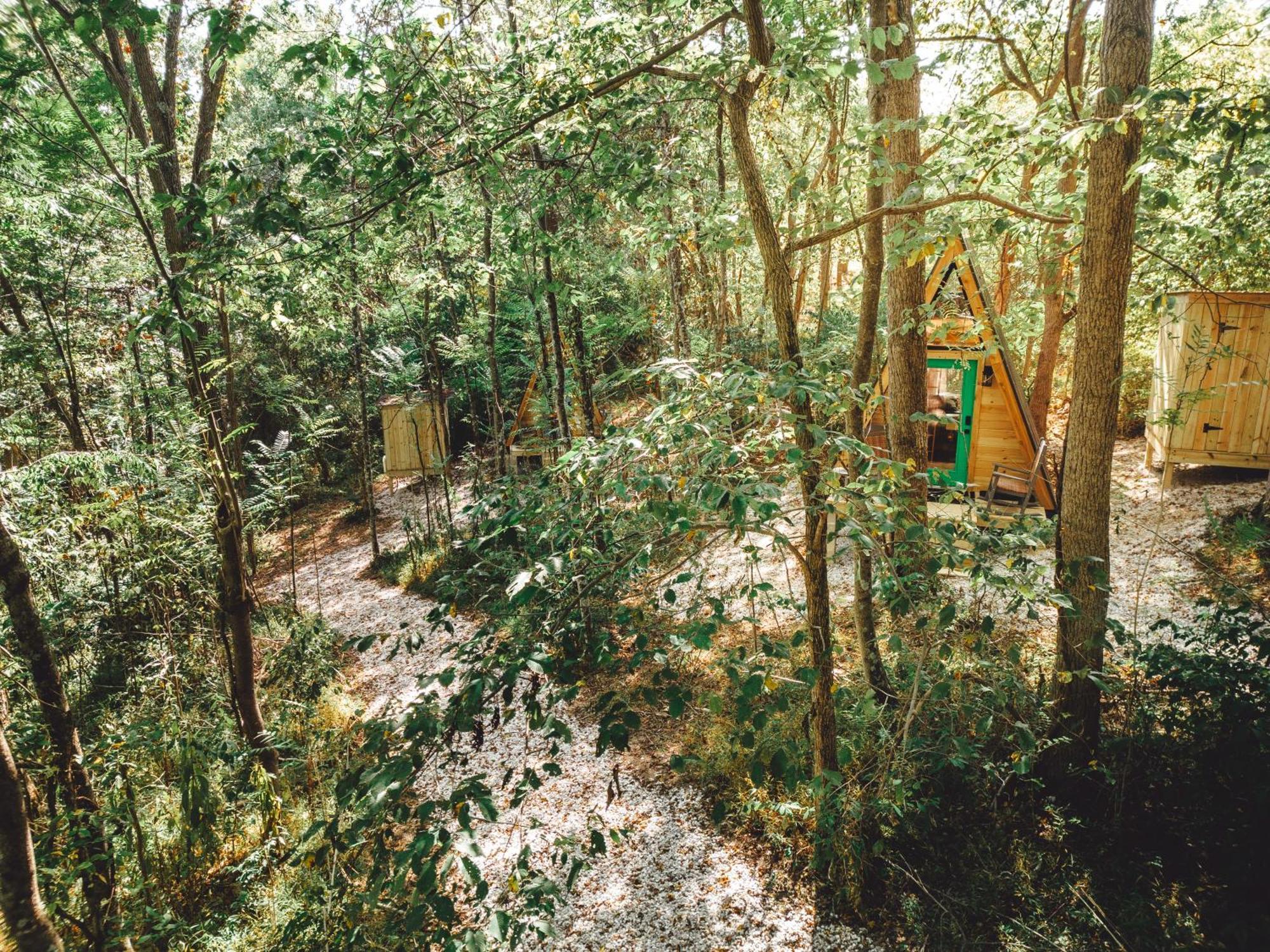 דירות Rockbridge Blue Brambler Glamping A-Frame מראה חיצוני תמונה